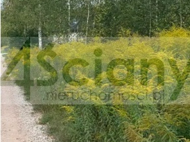 Działka budowlana Strzeniówka