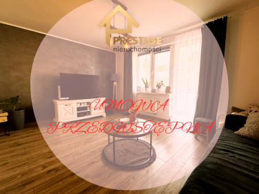 Mieszkanie Konin