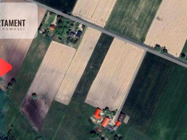 Działka rolna Osówka-Kolonia