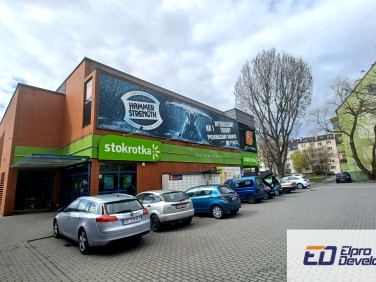 Lokal Opole