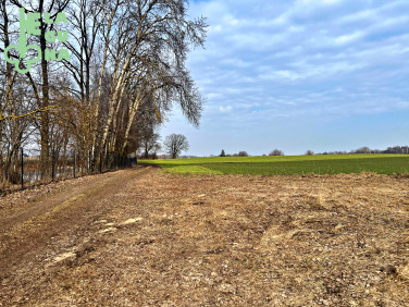 Działka budowlana Żukowo