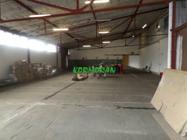 Budynek użytkowy Opole