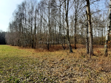 Działka rolna Dąbrówka-Niwka