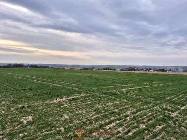 Działka rolna Widoma