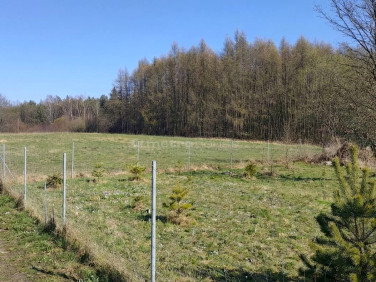 Działka Chruszczobród