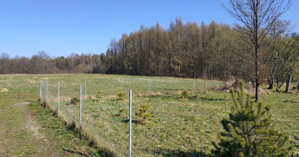 Działka Chruszczobród