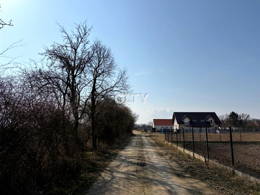 Zdjęcie 3