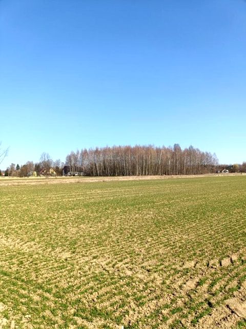 Działka budowlana Świerzowa Polska