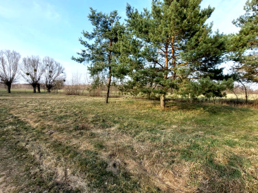 Działka budowlana Sowia Wola Folwarczna