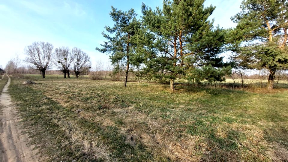 Działka budowlana Sowia Wola Folwarczna