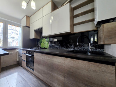 Mieszkanie blok mieszkalny wynajem