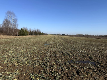 Działka inwestycyjna Natolin