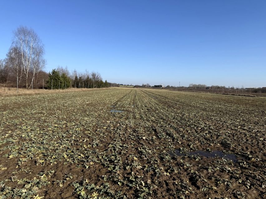 Działka inwestycyjna Natolin