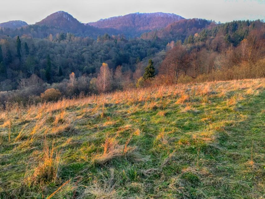 Działka Sokole