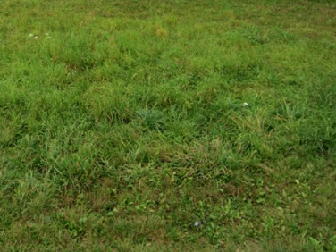 Działka budowlana Żyrardów