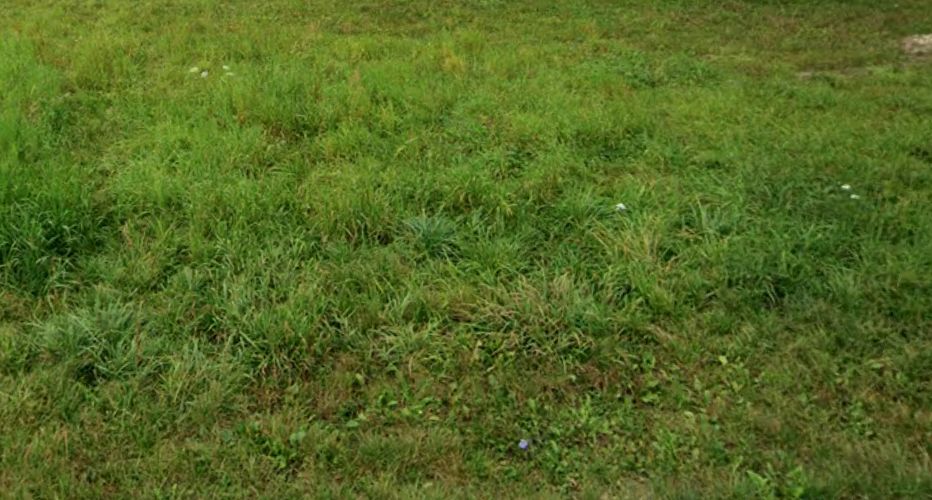 Działka budowlana Żyrardów