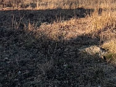 Działka budowlana Stare Budy