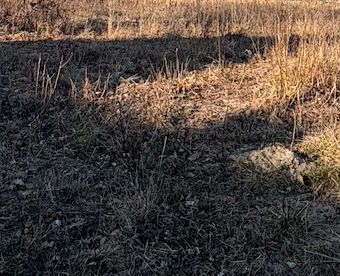 Działka budowlana Stare Budy