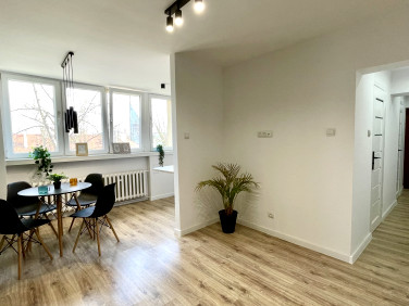 Mieszkanie Chorzów sprzedaż