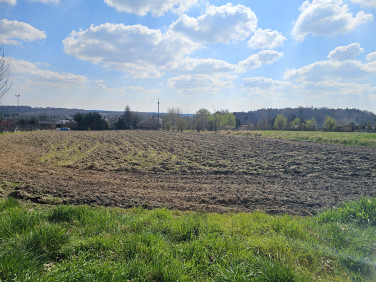 Działka budowlana Rybnik