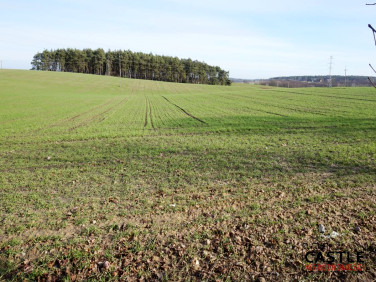Działka budowlana Sieraków