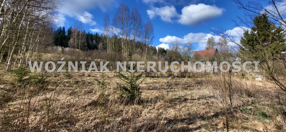 Działka budowlana Kochanów