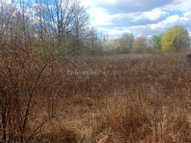 Działka inwestycyjna Skierniewice