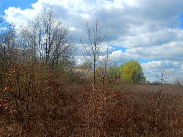 Działka inwestycyjna sprzedam