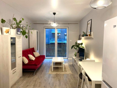 Mieszkanie Wrocław wynajem