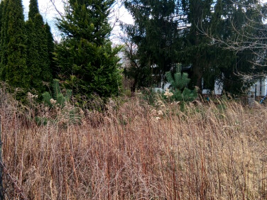 Działka budowlana Nowa Wieś sprzedam