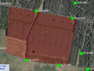 Działka leśna Drugnia