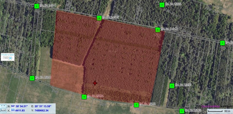 Działka leśna Drugnia