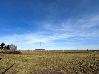 Działka rolna Szewce