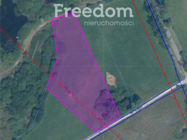 Działka nad jeziorem