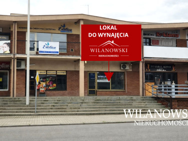 Lokal Mława