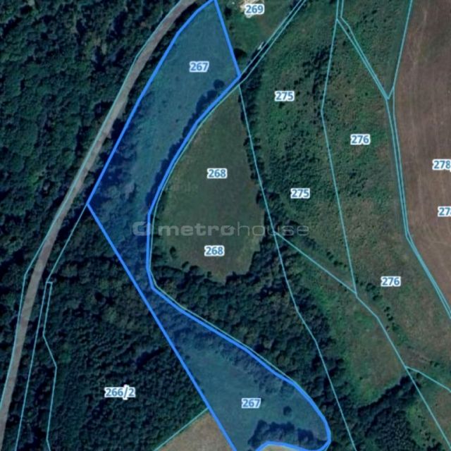 Działka rolna Nowy Waliszów