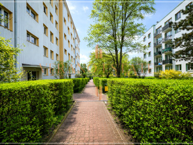 Mieszkanie Milanówek