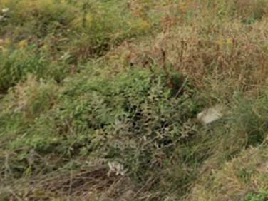 Działka budowlana Kałęczyn