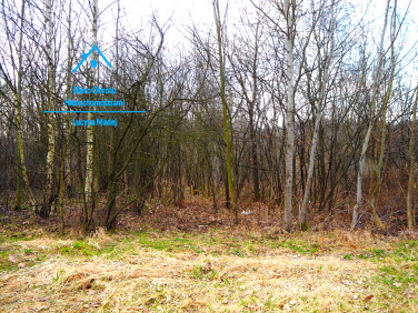 Działka siedliskowa Wysoka