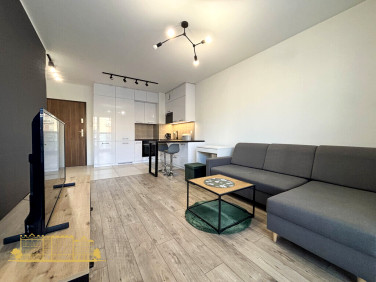 Mieszkanie Kraków wynajem