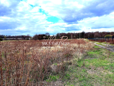 Działka Radziejowice