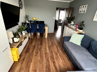 Mieszkanie Kruszwica