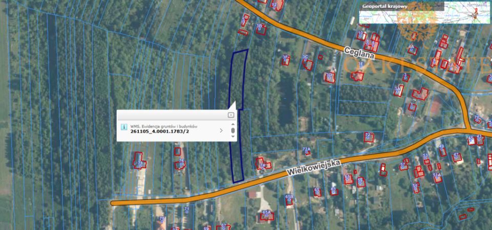 Działka rolna Wąchock