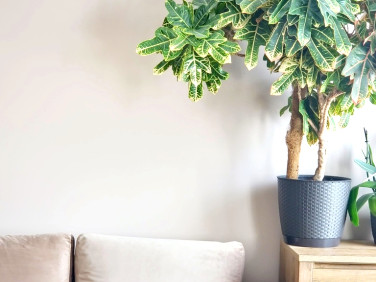 Mieszkanie Wałbrzych