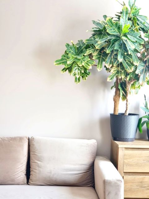 Mieszkanie Wałbrzych