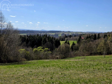 Działka rolna Rzepiennik Strzyżewski
