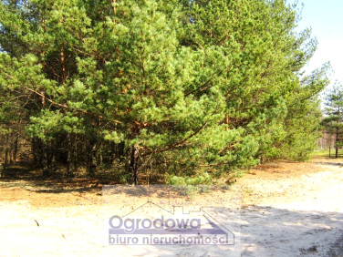 Działka rekreacyjna Urle