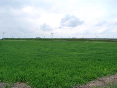 Działka usługowa Świdnik