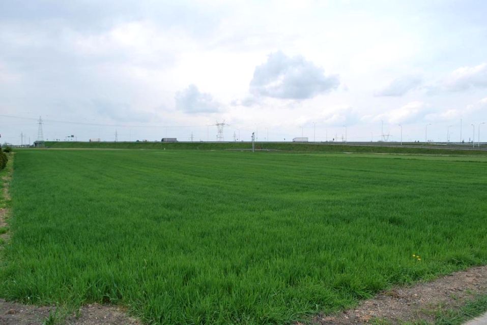 Działka usługowa Świdnik