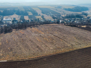 Działka budowlana Szalejów Dolny